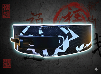 Power Lever Weightlifting Belt